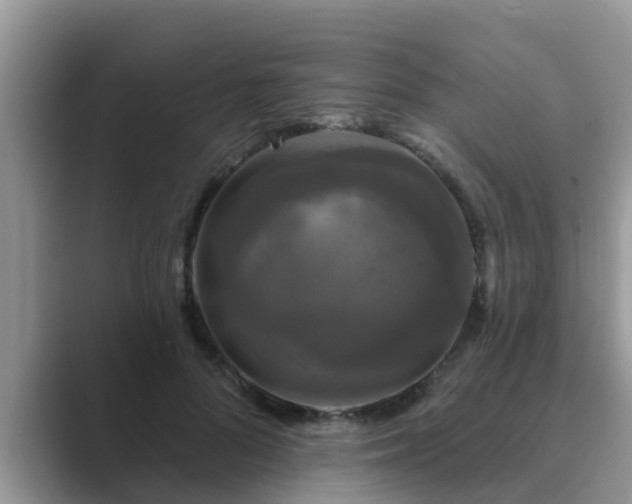 X0000089880696200707051210