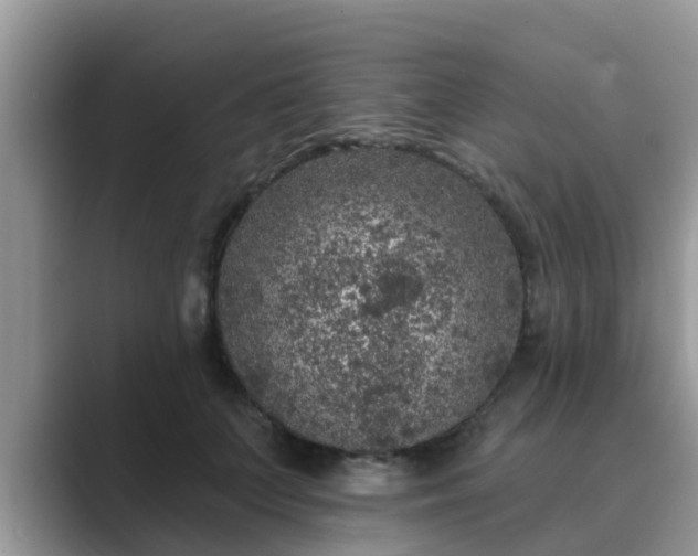 X0000089880703200707051210