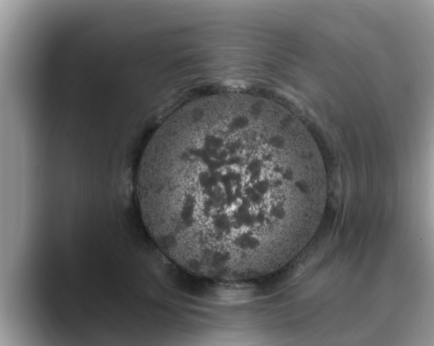 X0000089880707200707051210