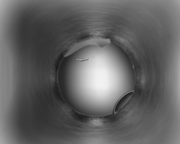 X0000089880710200707051210