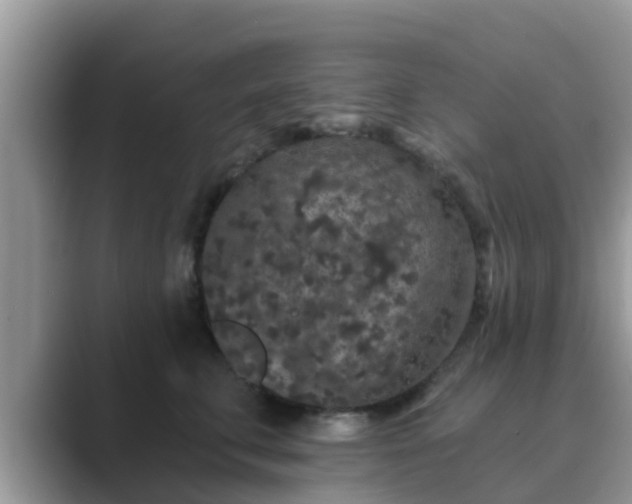 X0000089880711200707051210