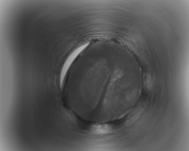 X0000089880712200707051210