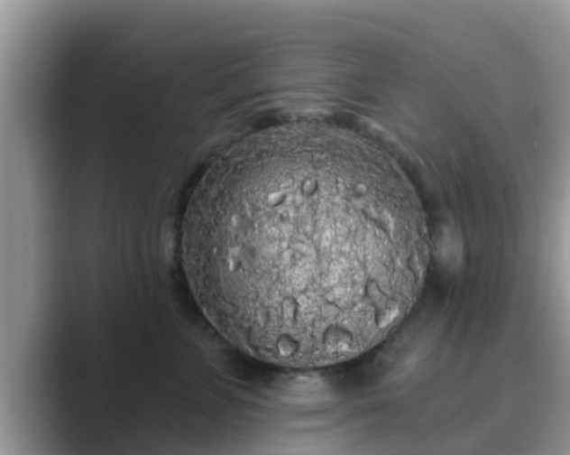 X0000089880715200707051210