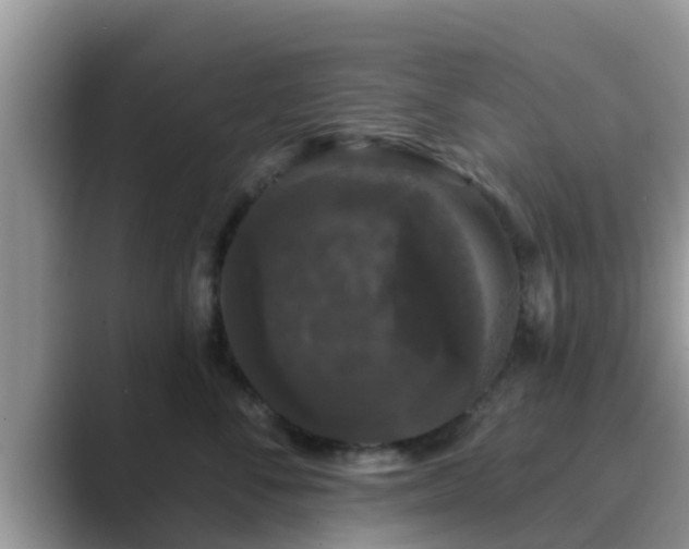 X0000089880716200707051210