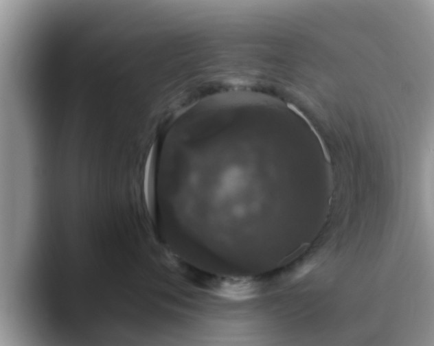 X0000089880720200707051210