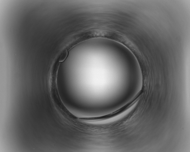 X0000089880722200707051209