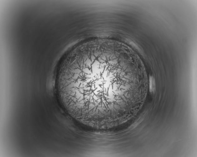 X0000089880723200707051209