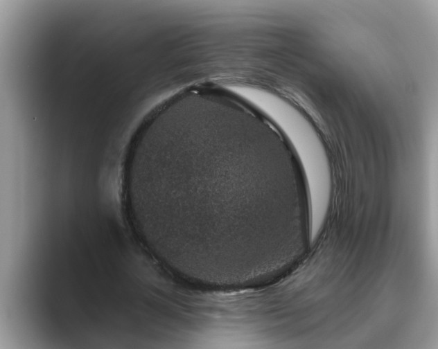 X0000089880724200707051209