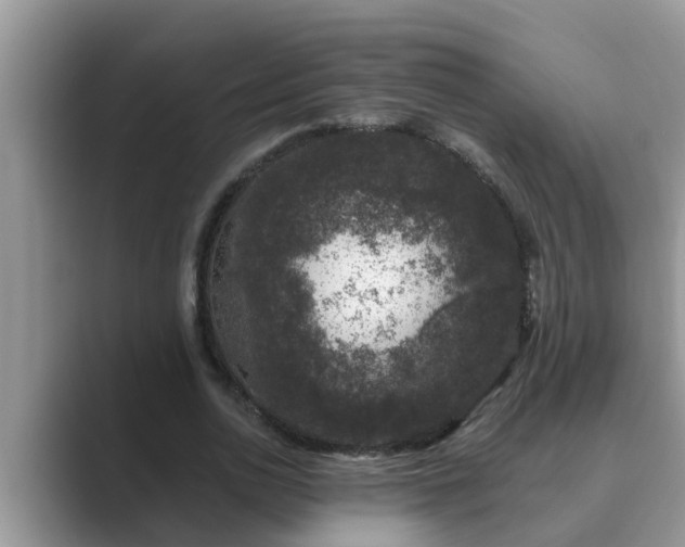 X0000089880726200707051209