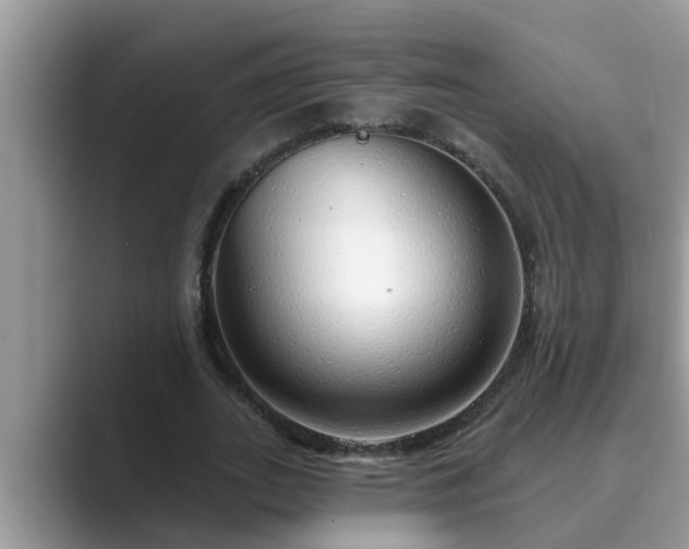 X0000089880727200707051209