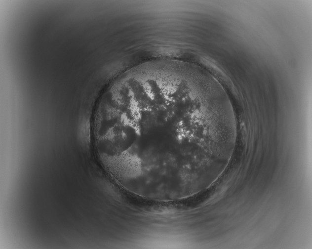 X0000089880729200707051209