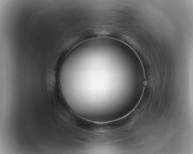 X0000089880731200707051209