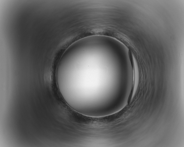 X0000089880732200707051209