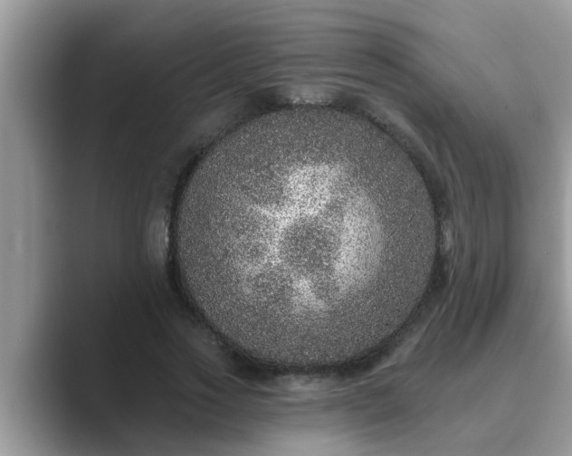 X0000089880733200707051209