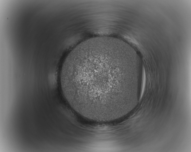 X0000089880735200707051209