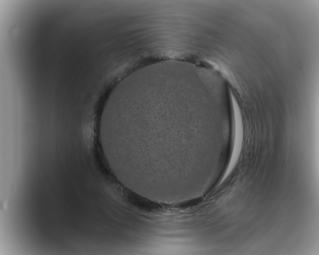 X0000089880736200707051209