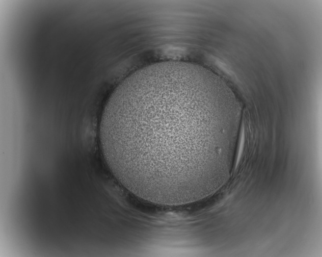 X0000089880737200707051209