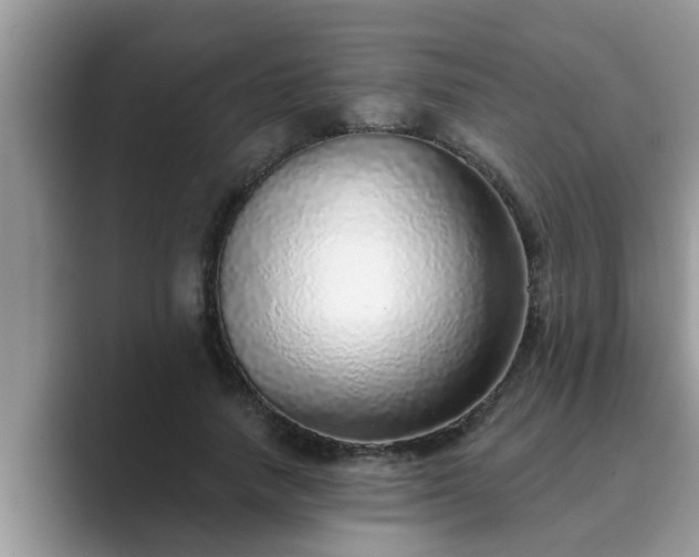 X0000089880738200707051210