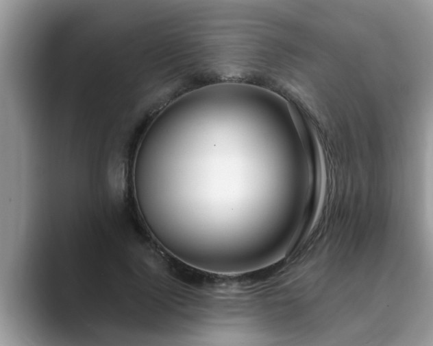 X0000089880740200707051210