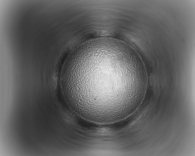 X0000089880741200707051210