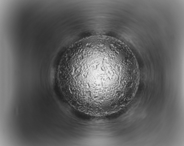 X0000089880742200707051210