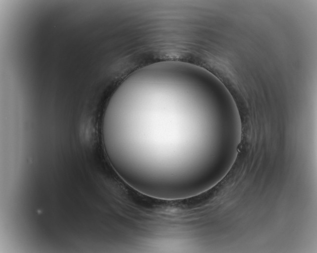 X0000089880743200707051210