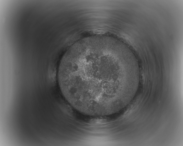 X0000089880745200707051210