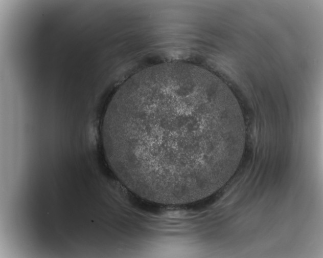 X0000089880746200707051210