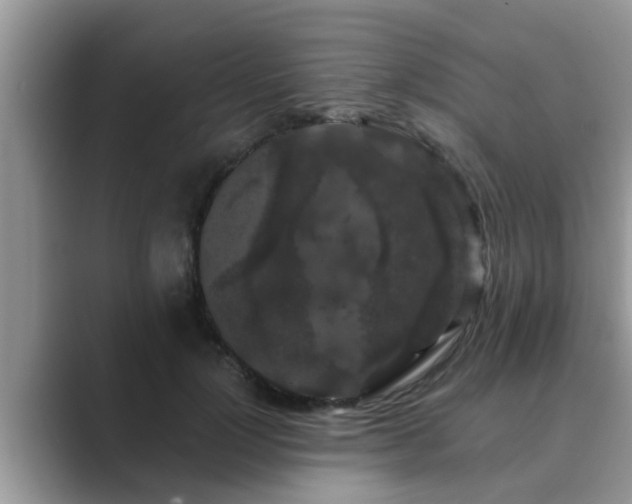 X0000089880748200707051210