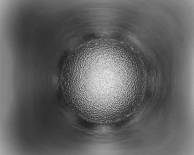 X0000089880749200707051210