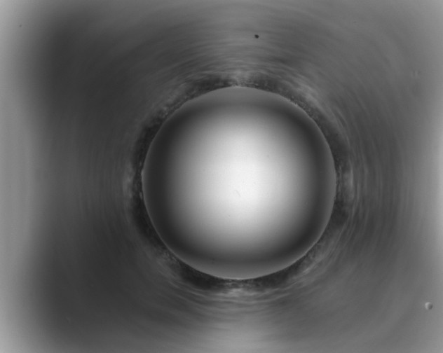 X0000089880750200707051210