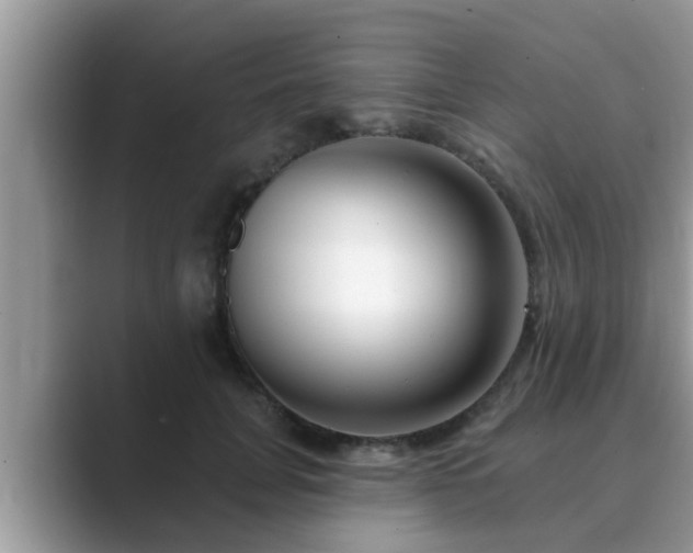 X0000089880751200707051210