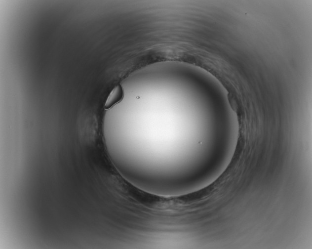 X0000089880752200707051210