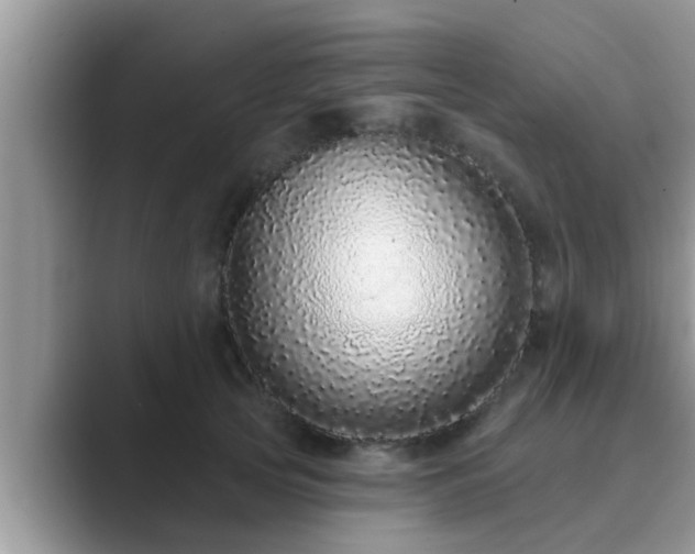 X0000089880753200707051210