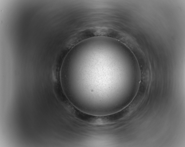 X0000089880755200707051210