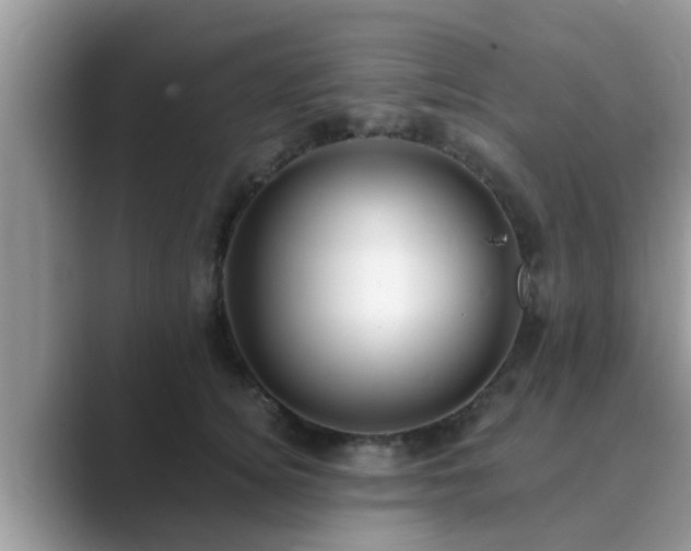 X0000089880756200707051210