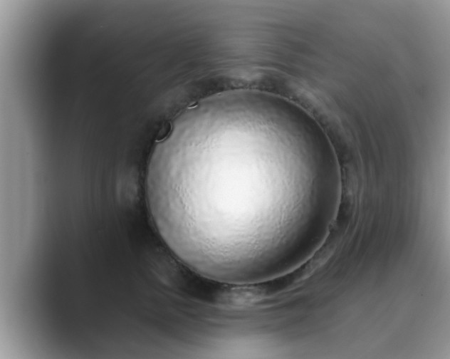 X0000089880758200707051210