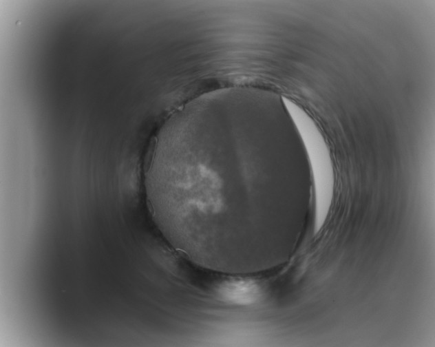 X0000089880760200707051210