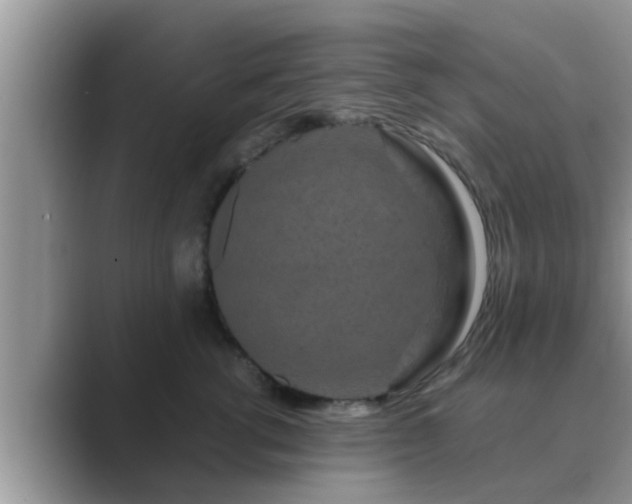 X0000089880762200707051210