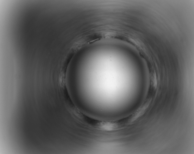 X0000089880766200707051210