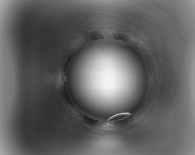 X0000089880768200707051210