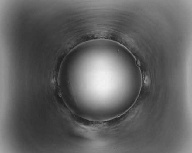 X0000089880771200707051209