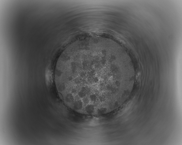 X0000089880772200707051209