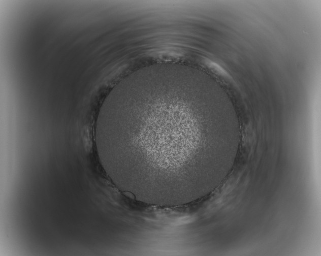 X0000089880774200707051209