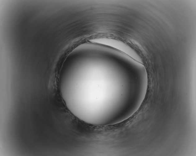 X0000089880776200707051209