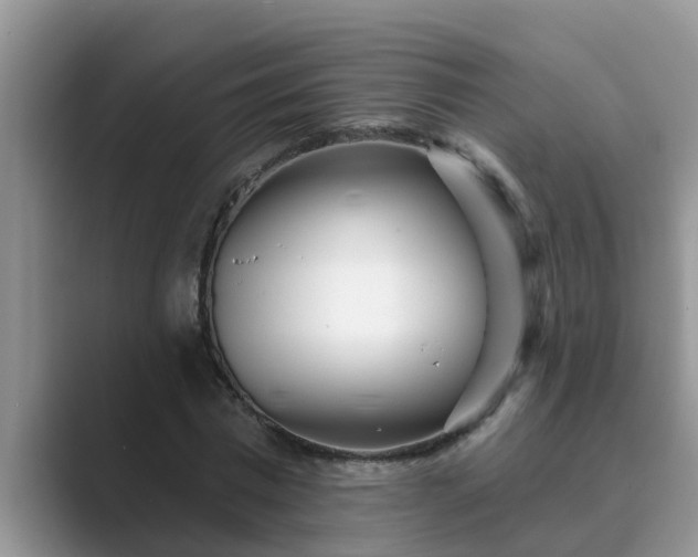 X0000089880777200707051209