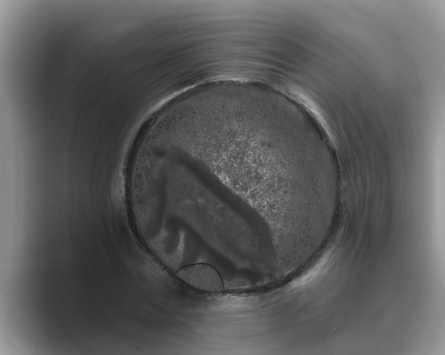 X0000089880779200707051209