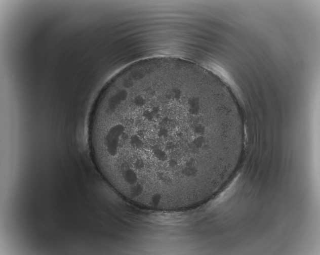 X0000089880780200707051209