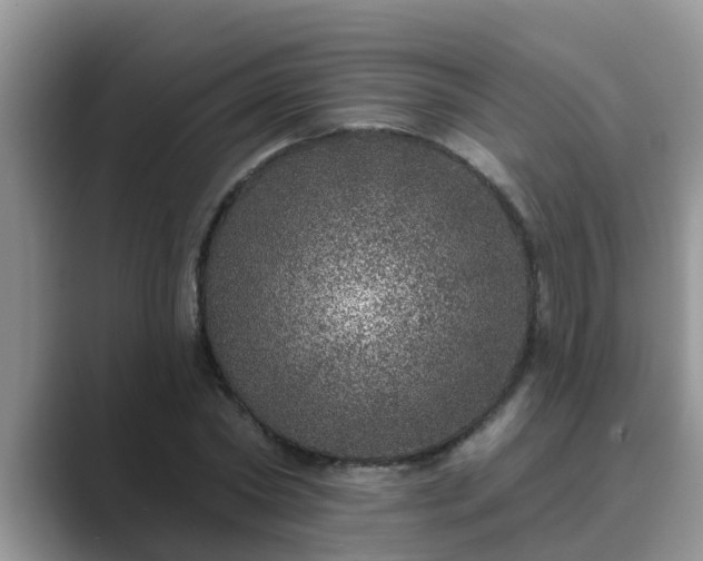 X0000089880782200707051209