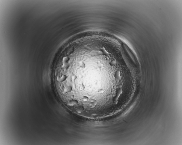 X0000089880783200707051209